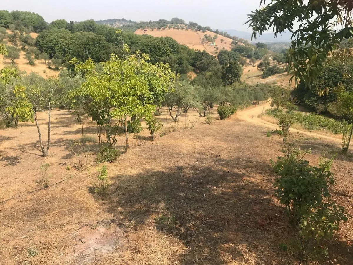 Holiday home Casa Rural En Constantina Spain